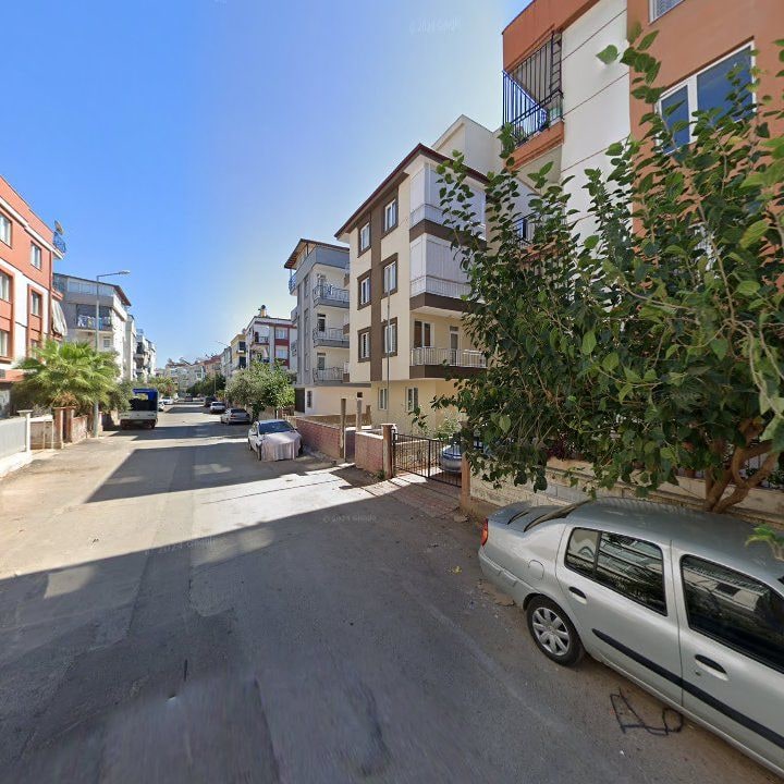 Fotoğraf 10