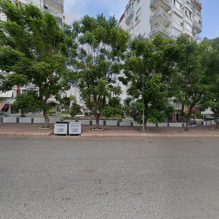 Fotoğraf 11