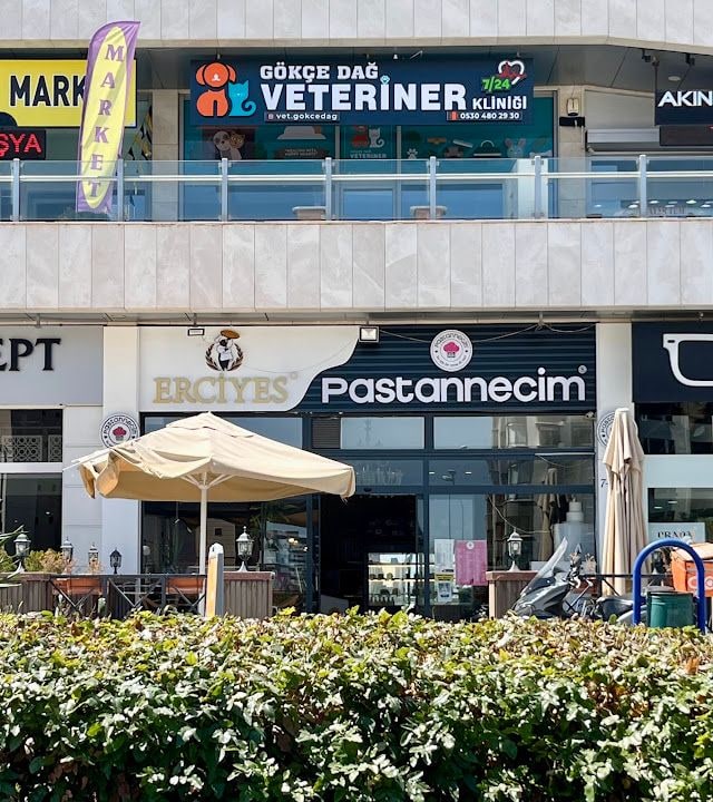 Pastannecim