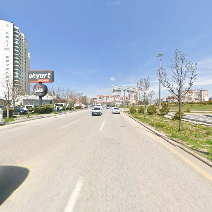 Fotoğraf 11