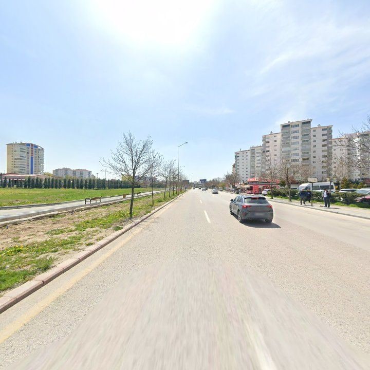 Fotoğraf 13