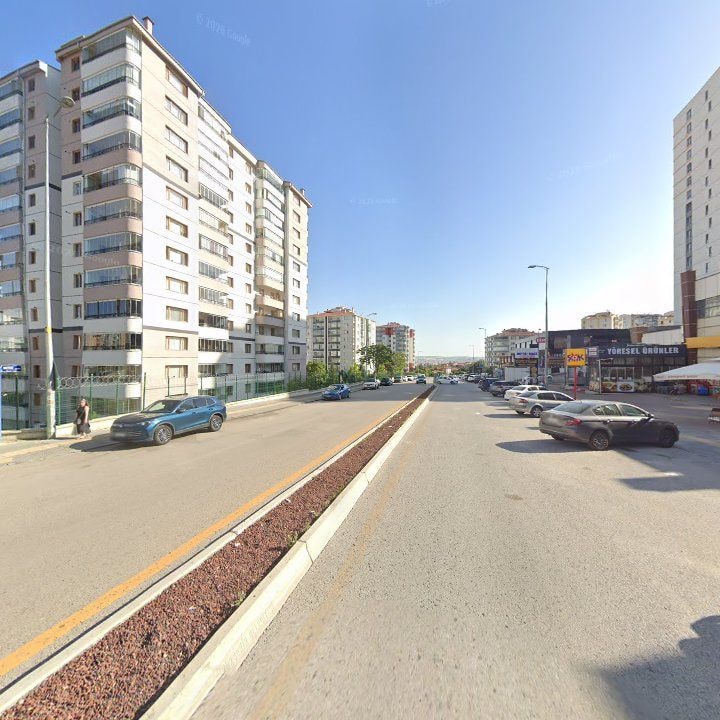 Fotoğraf 11