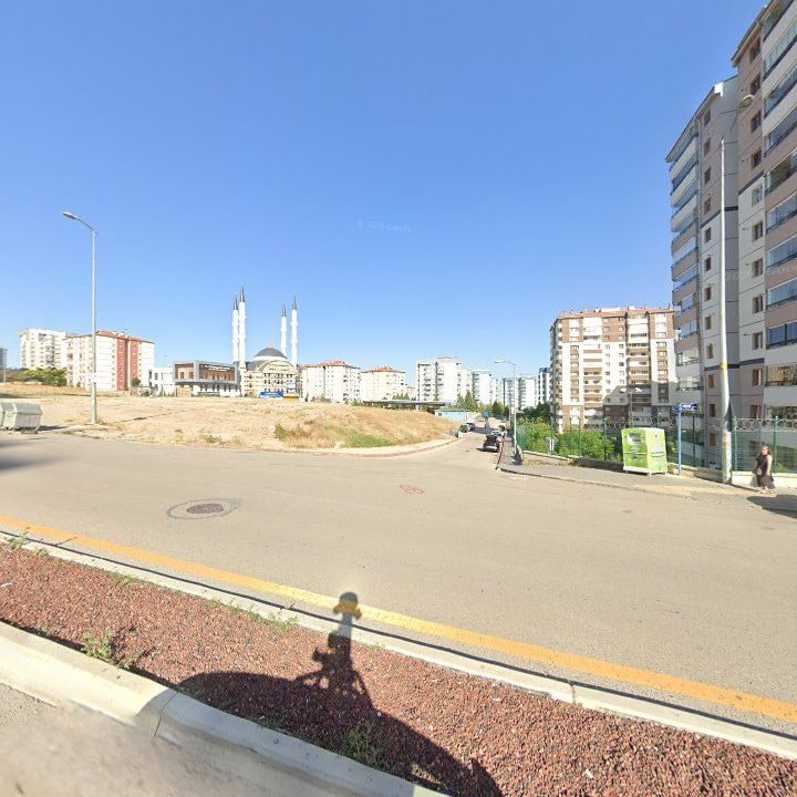 Fotoğraf 10
