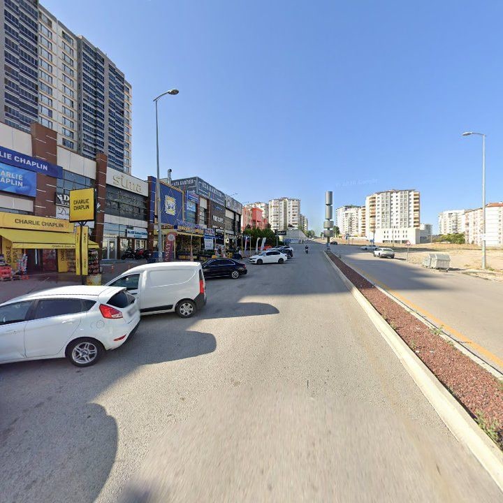 Fotoğraf 9