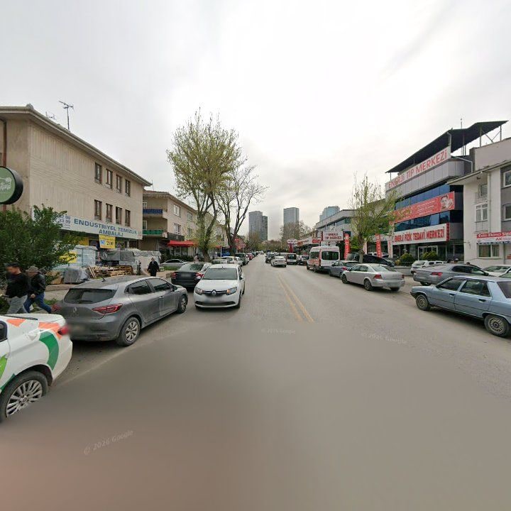 Fotoğraf 11