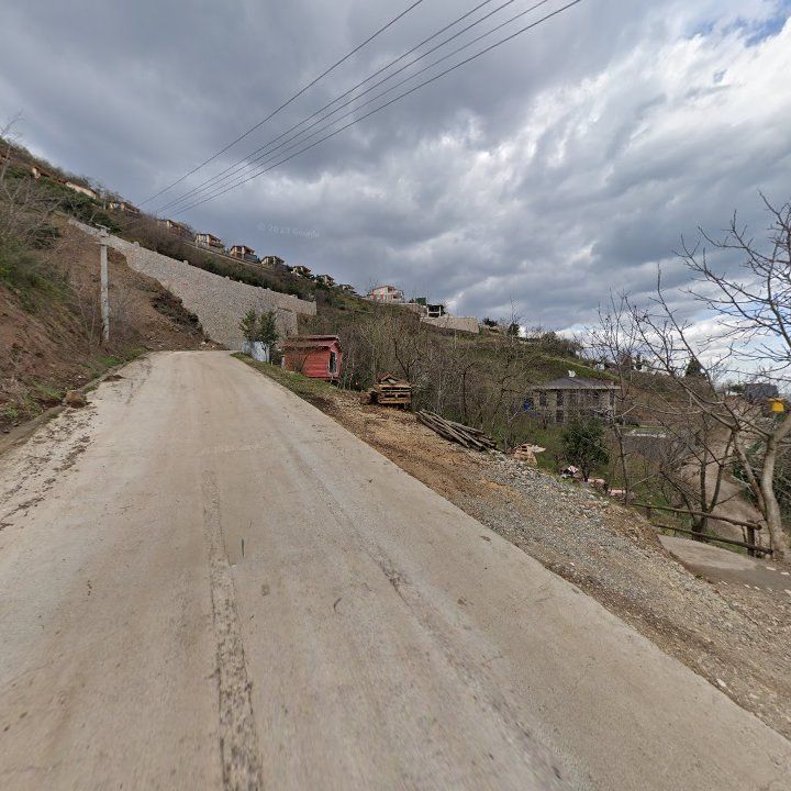 Fotoğraf 12