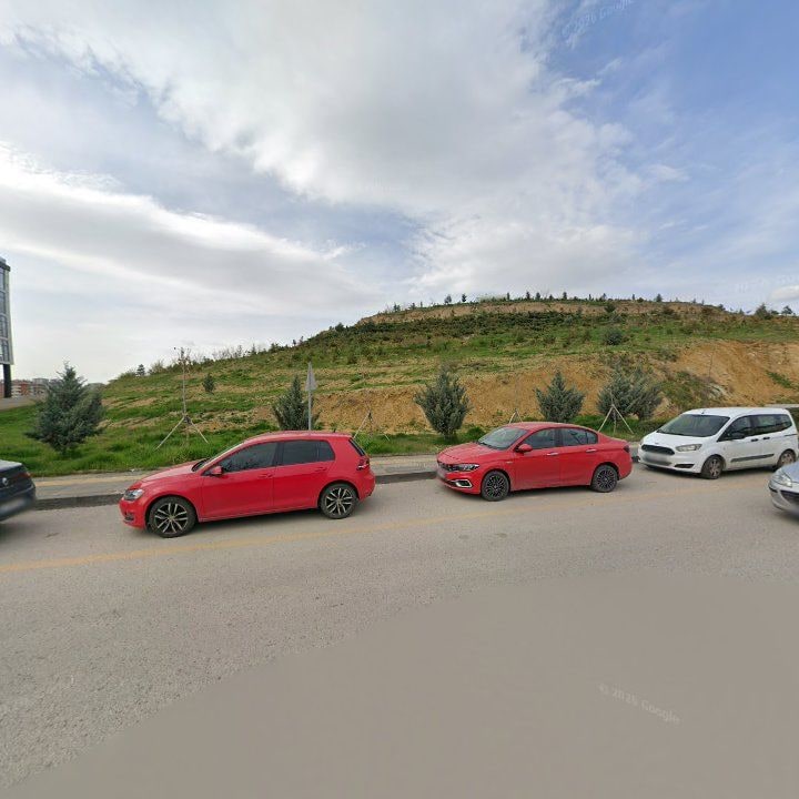 Fotoğraf 7