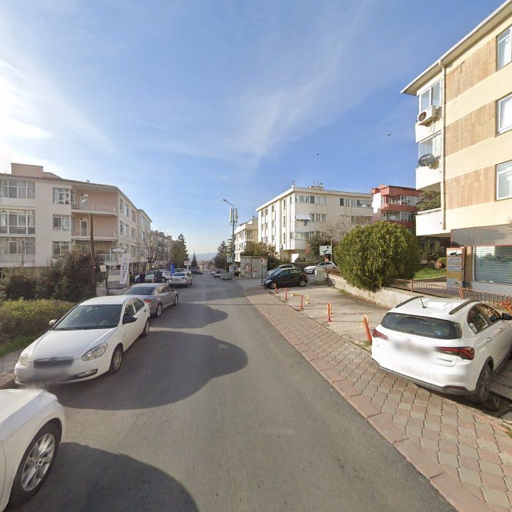 Fotoğraf 11