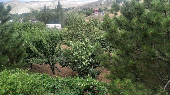 Pehlivan Çiftliği