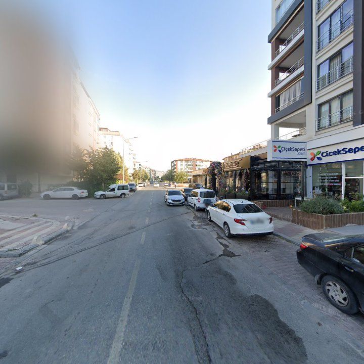 Fotoğraf 12