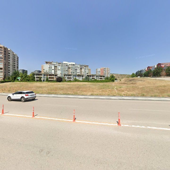 Fotoğraf 9