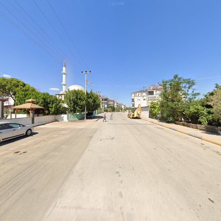 Fotoğraf 9