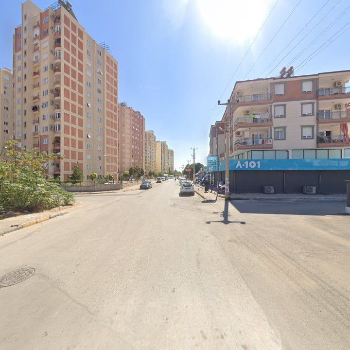 Fotoğraf 7