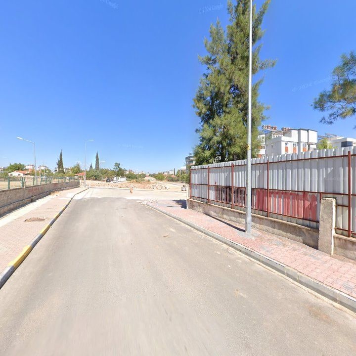 Fotoğraf 7