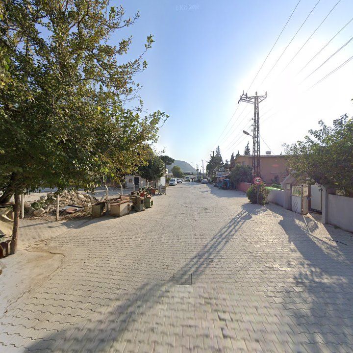 Fotoğraf 3