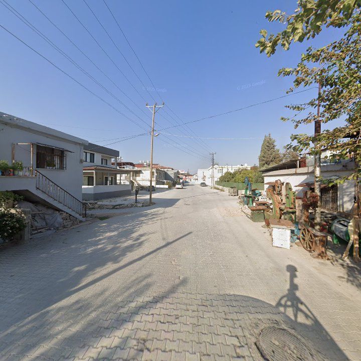 Fotoğraf 5
