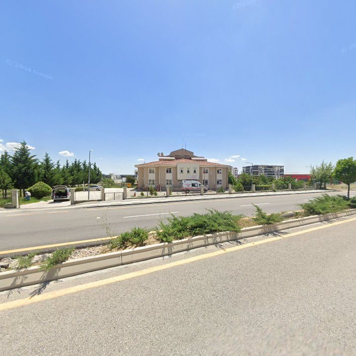 Fotoğraf 13