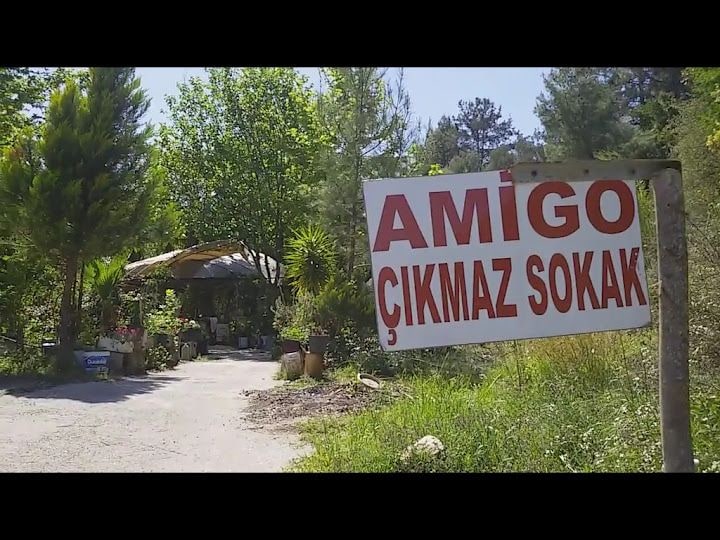 Fotoğraf 6