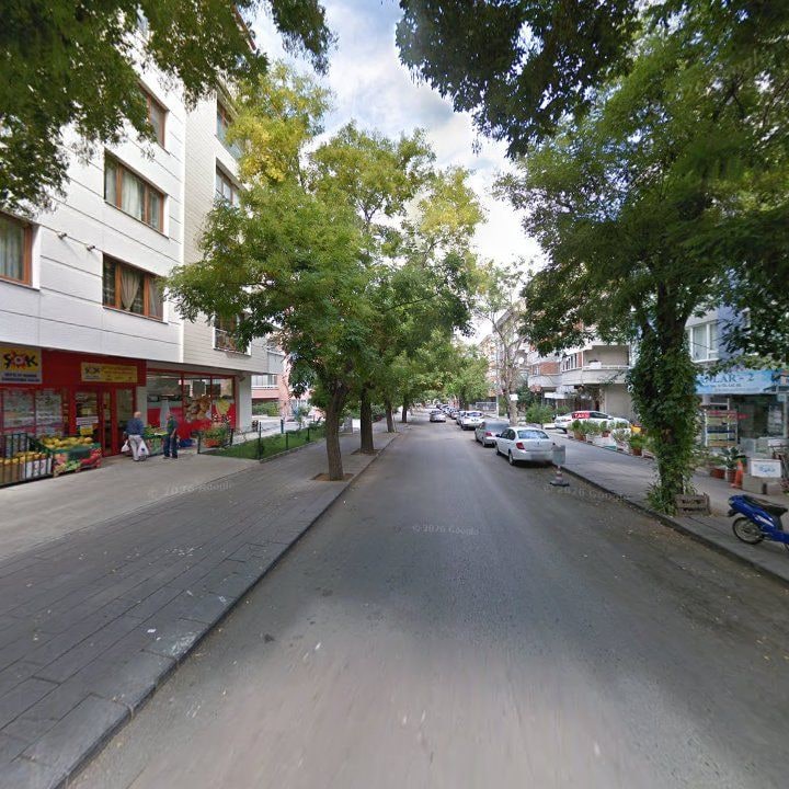 Fotoğraf 13