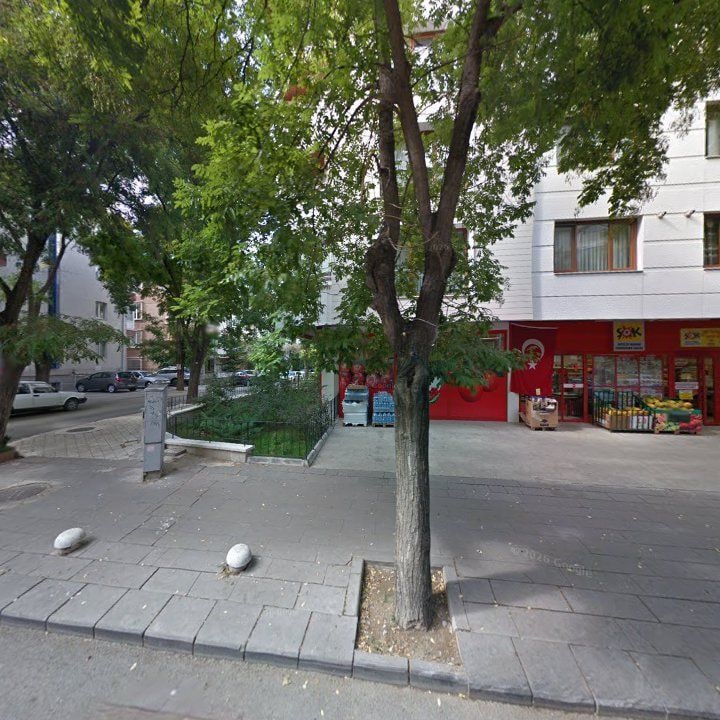 Fotoğraf 12