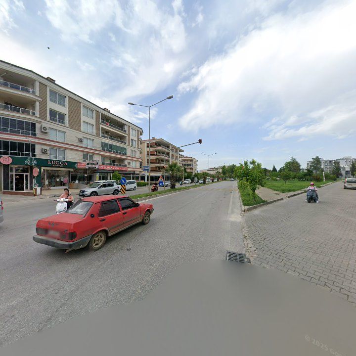 Fotoğraf 8