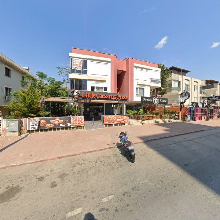 Fotoğraf 8