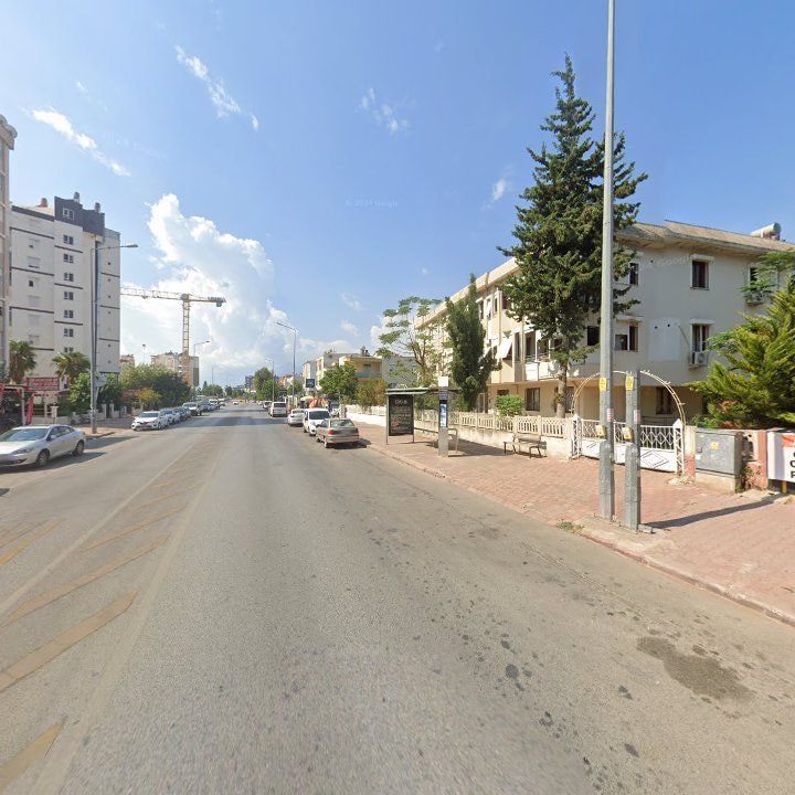 Fotoğraf 11