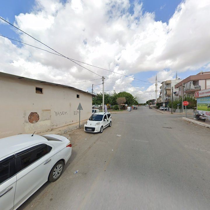 Fotoğraf 7