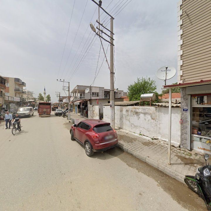 Fotoğraf 7