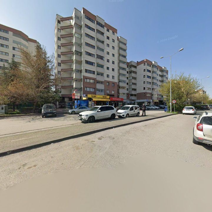 Fotoğraf 12
