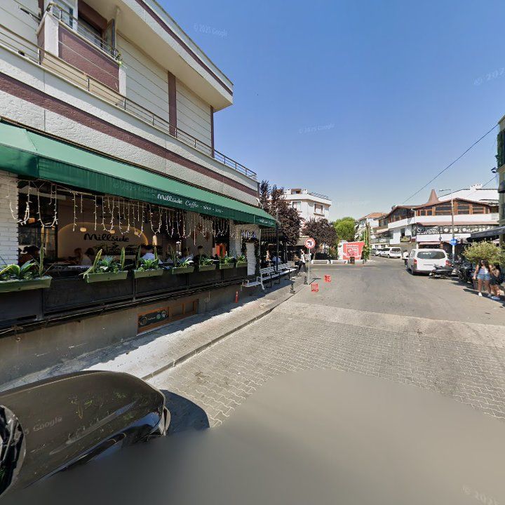Fotoğraf 13