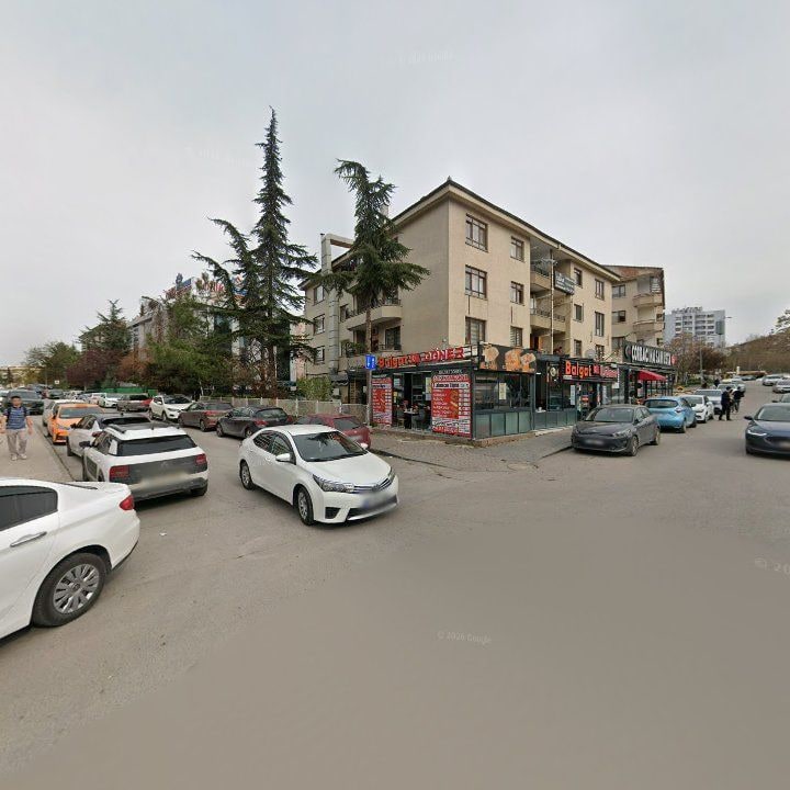 Fotoğraf 12