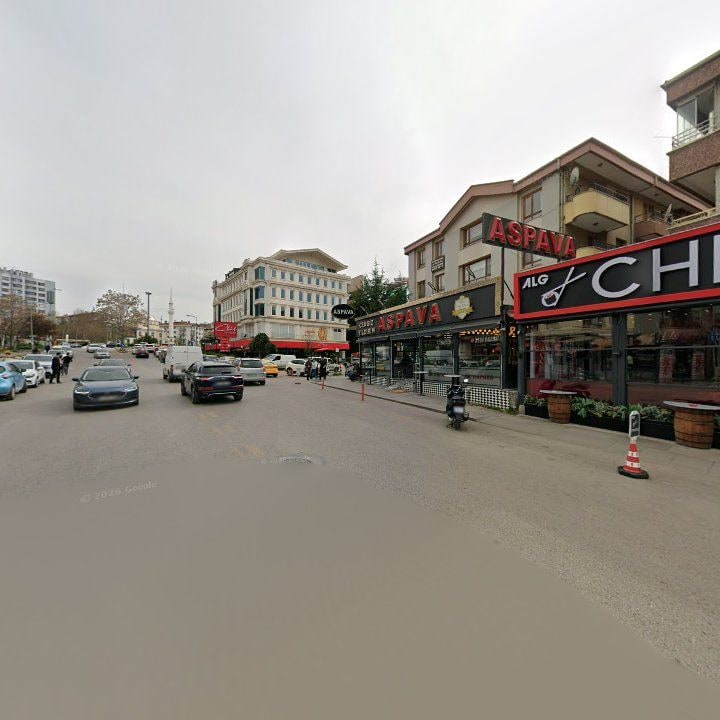 Fotoğraf 13