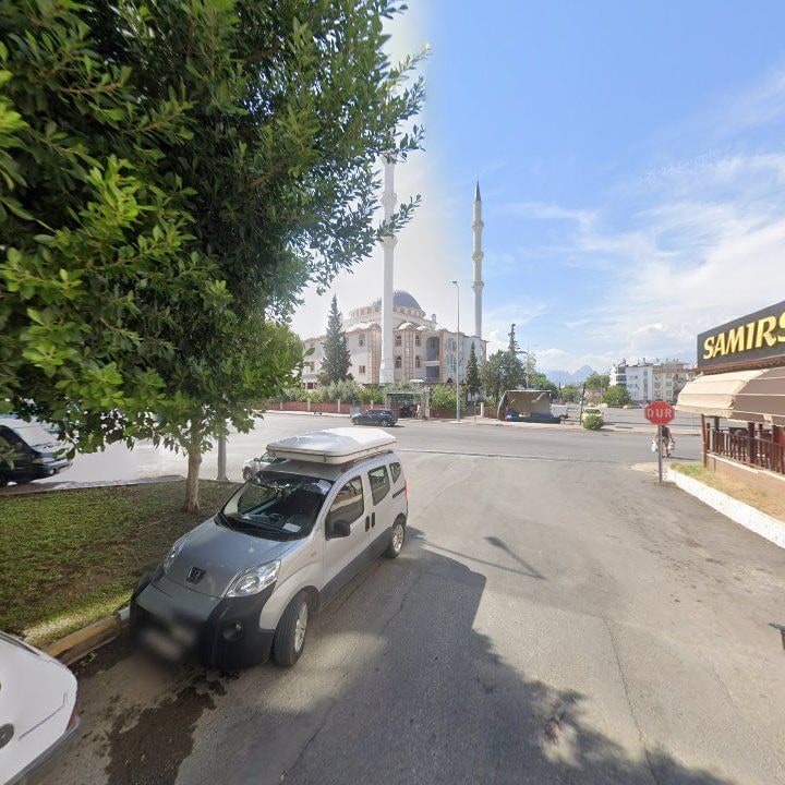 Fotoğraf 11