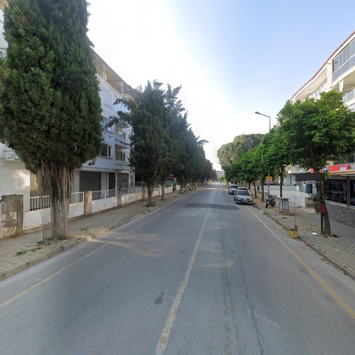Fotoğraf 11