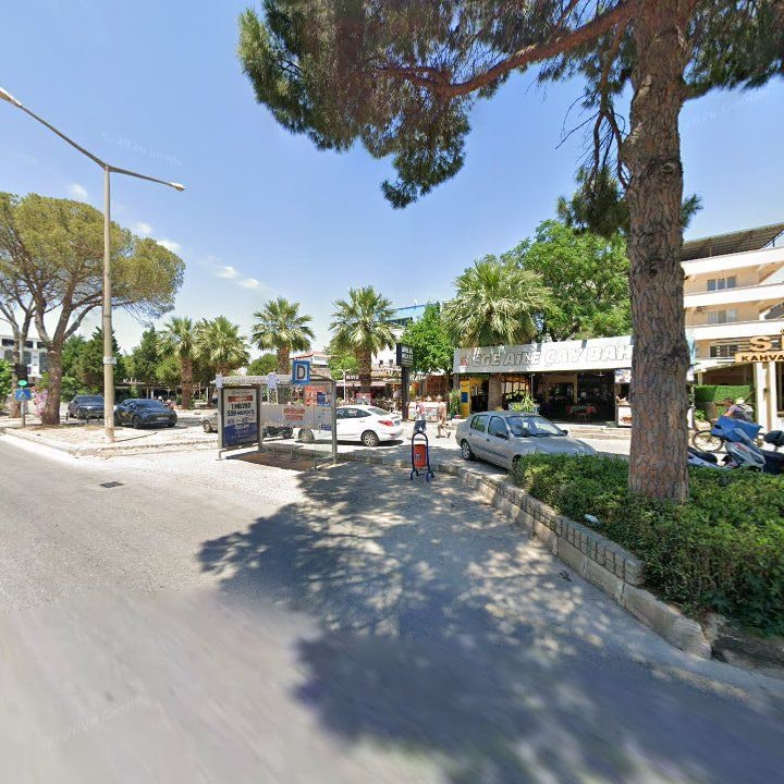 Fotoğraf 9