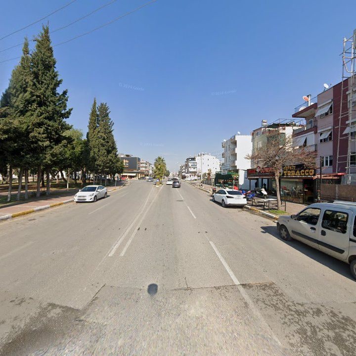 Fotoğraf 11