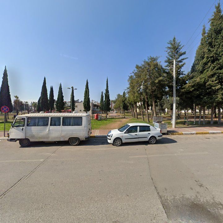 Fotoğraf 10