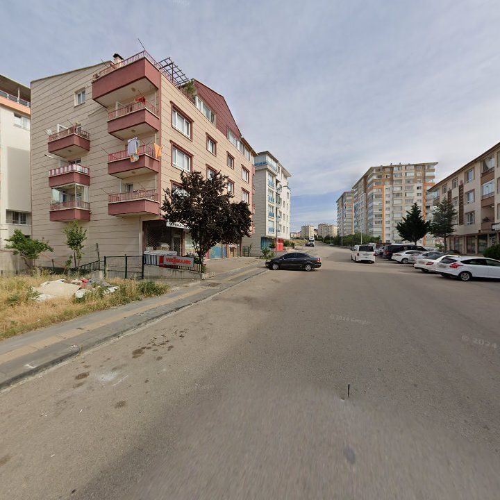 Fotoğraf 11