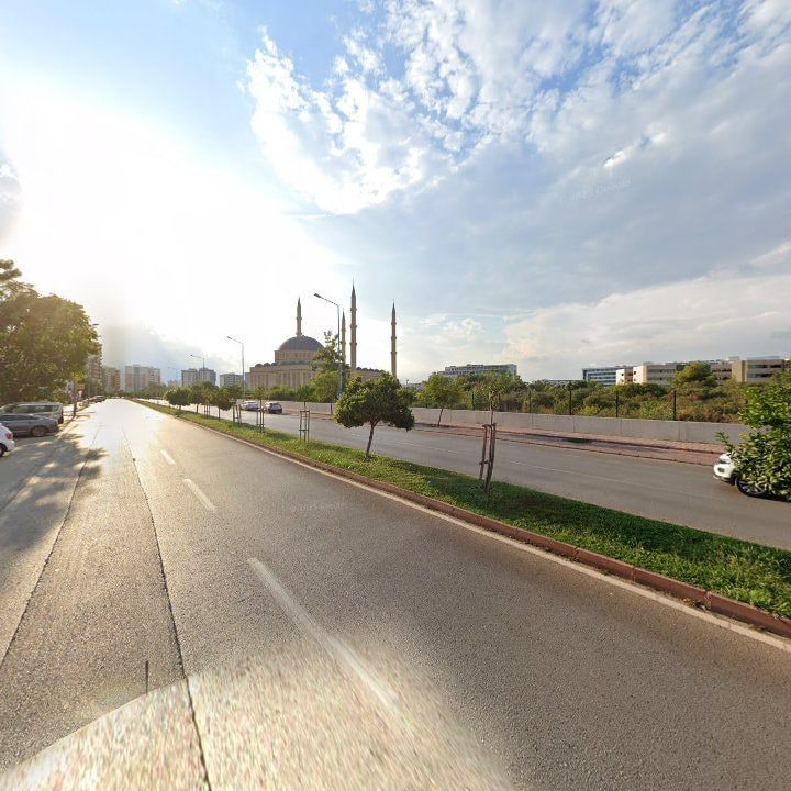 Fotoğraf 8