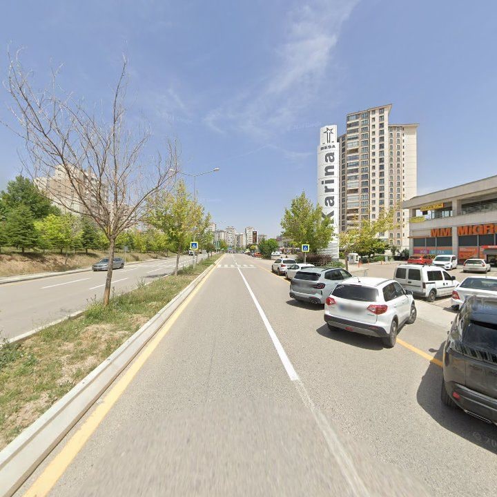 Fotoğraf 9