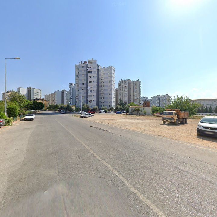 Fotoğraf 10