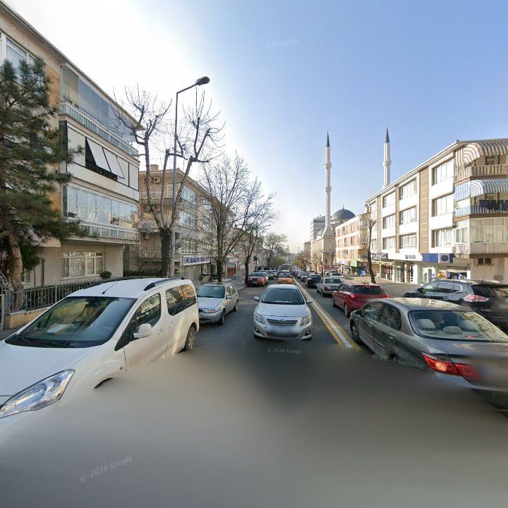 Fotoğraf 10