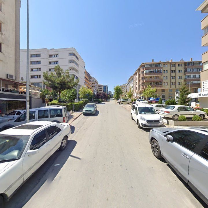 Fotoğraf 10