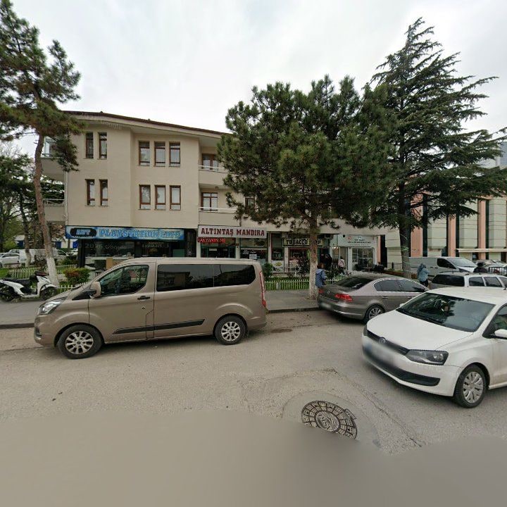 Fotoğraf 10