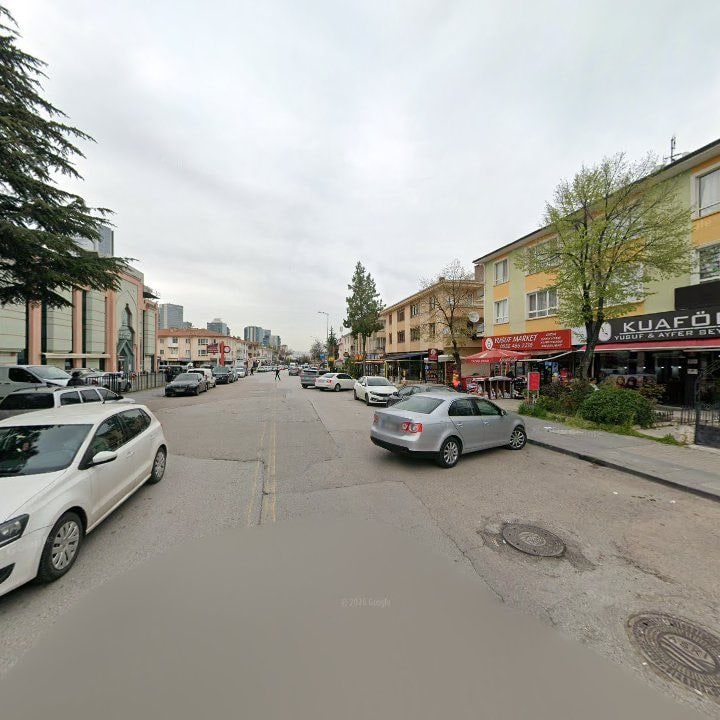 Fotoğraf 11