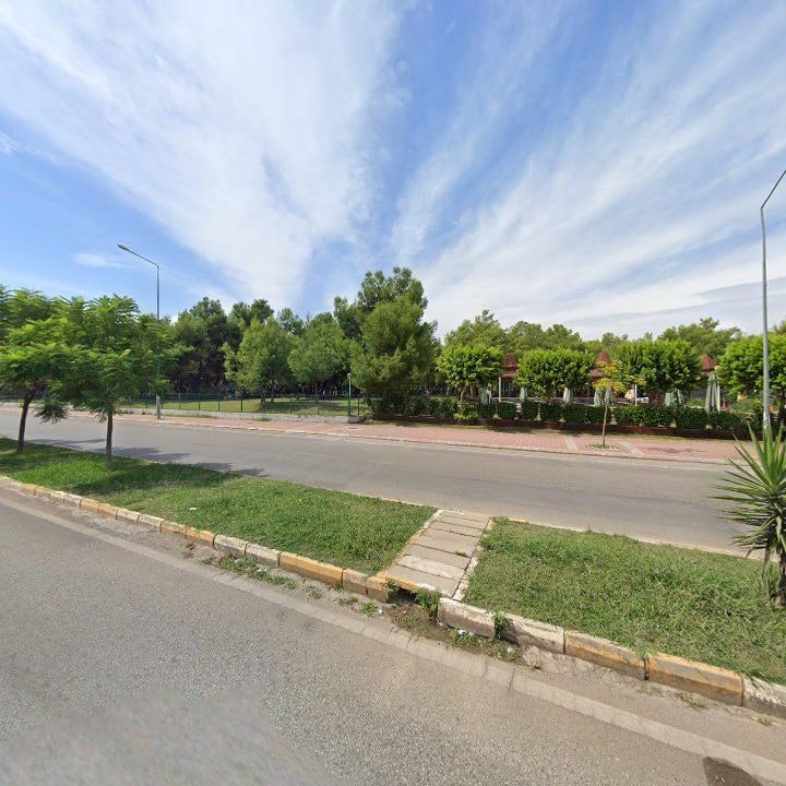 Fotoğraf 7
