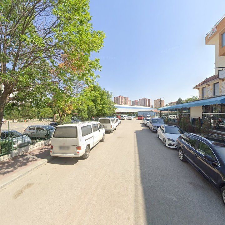 Fotoğraf 8