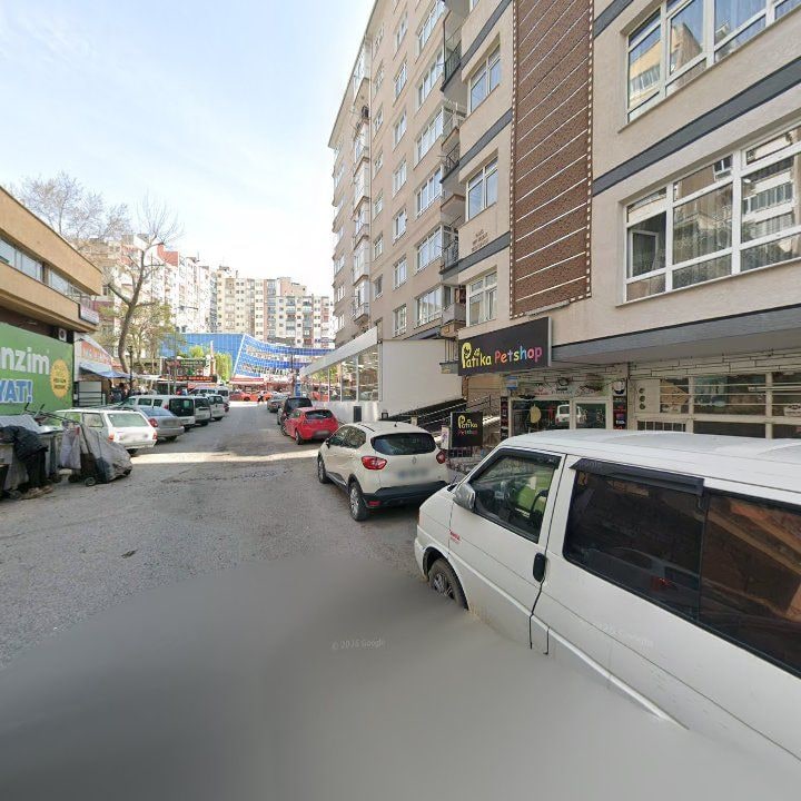 Fotoğraf 6