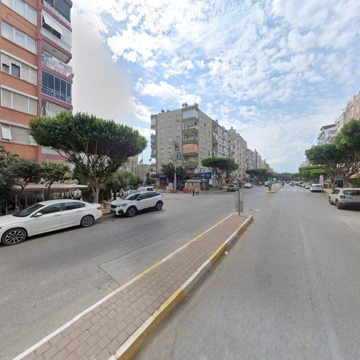 Fotoğraf 10
